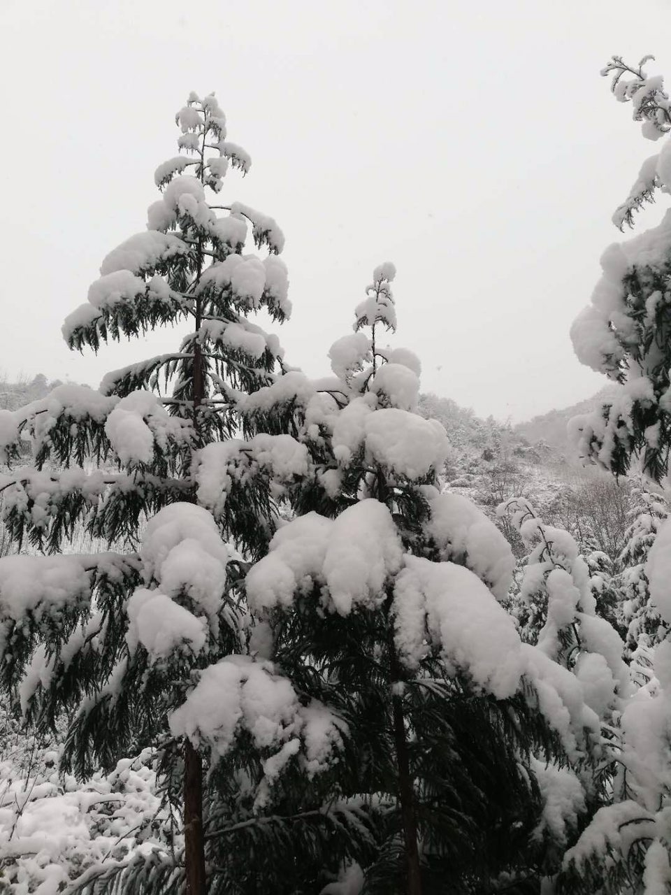 九皇山和吴家后山的雪景