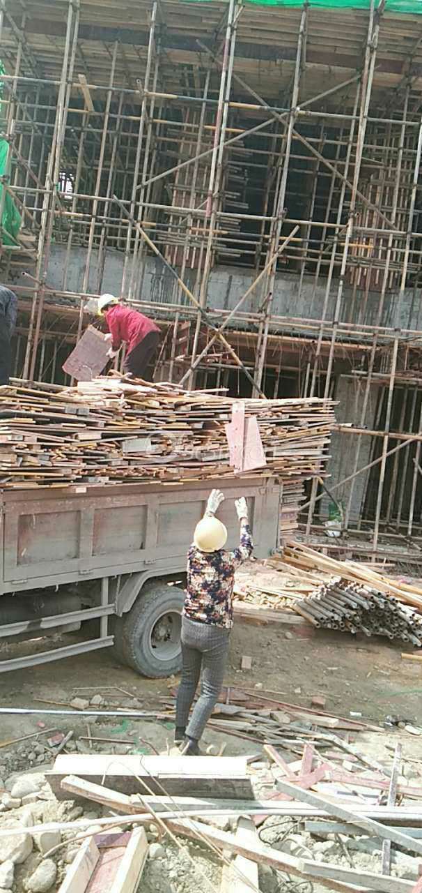 大量回收各种建筑废模板木方干树各种旧木料