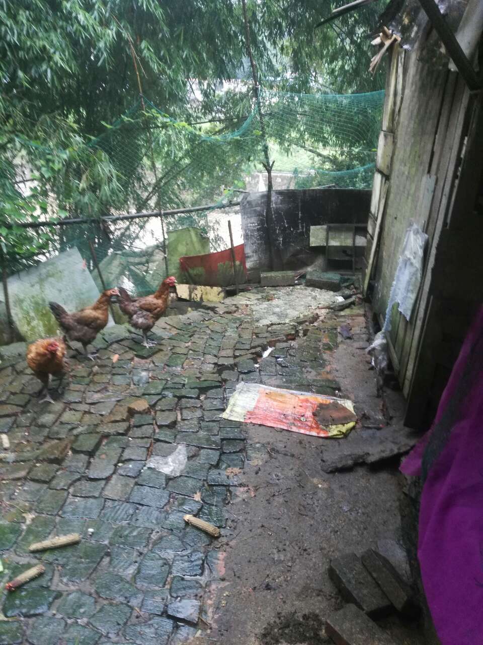 江油有多少人口_江油职高多少分(2)