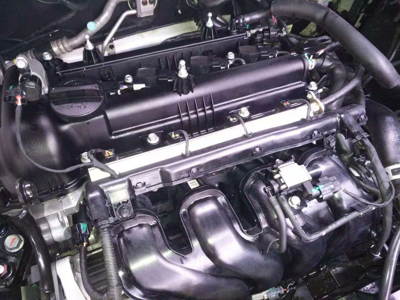 20200304_266989_1583326355110.jpg