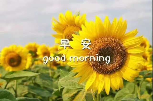 来自亲爱的我的江油圈