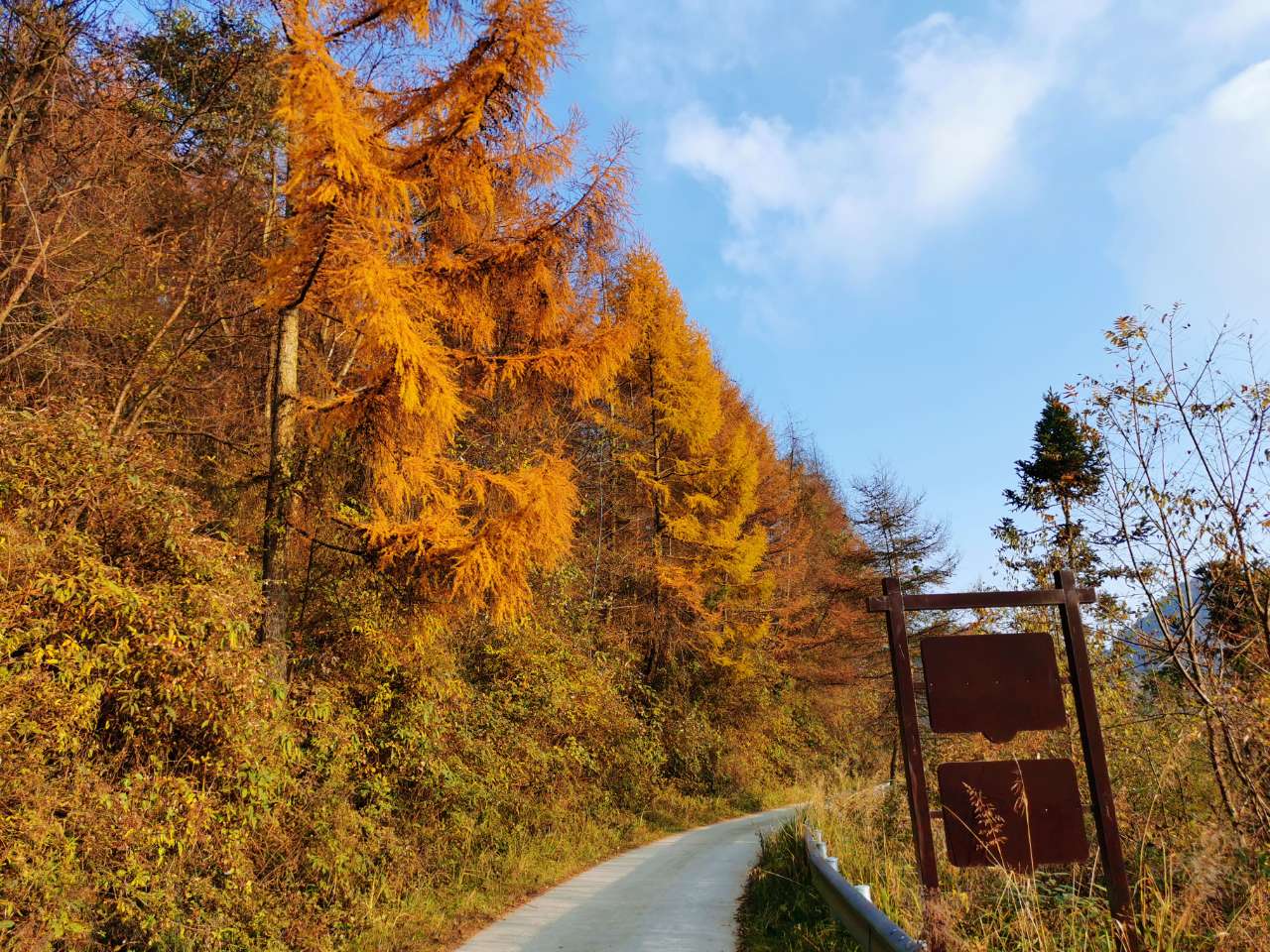风光摄影观雾山