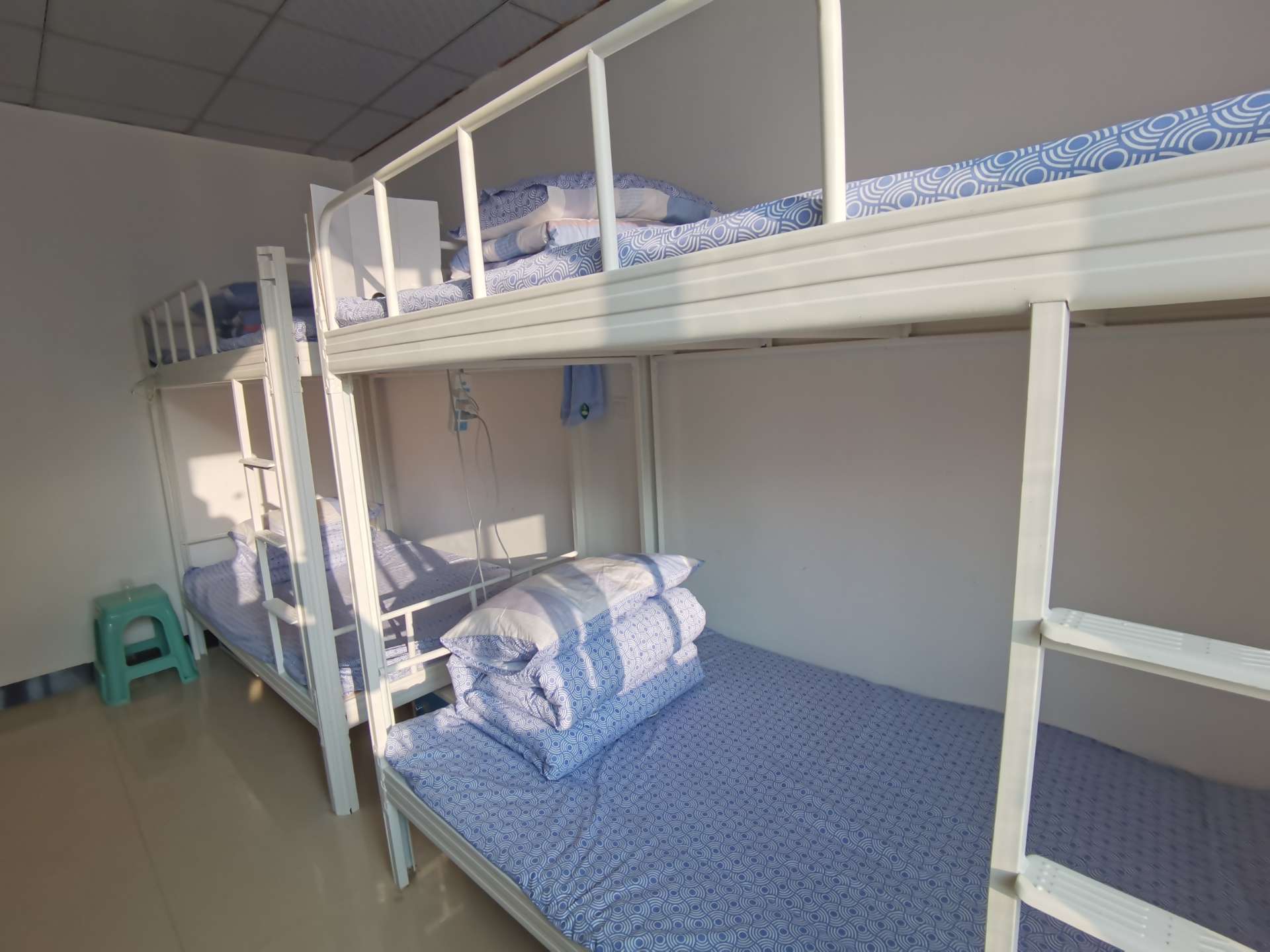 招满即止双胞胎集团高薪招聘猪场饲养员