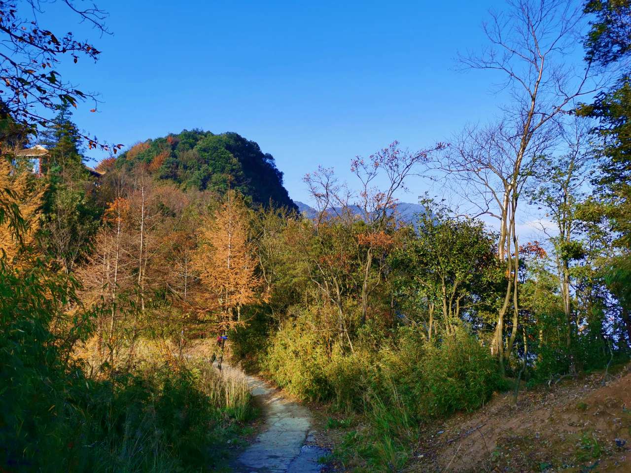 风光摄影观雾山
