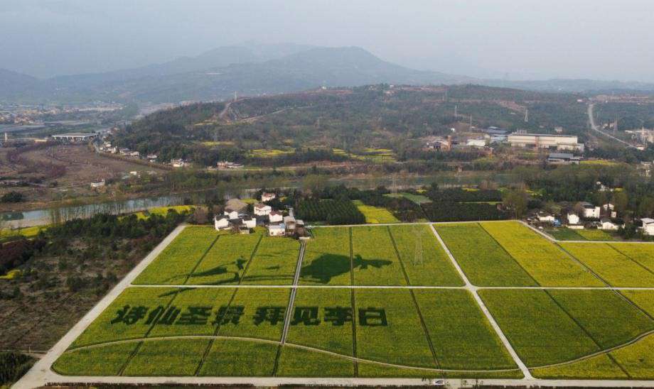 井研县圣景公园一期图片